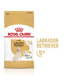 ROYAL CANIN Labrador Retriever Adult 5+ 12 kg kuivtoitu täiskasvanud Yorkshire terjeritele, vanemad kui 5 aastat