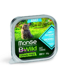 MONGE Bwild Cat toit täiskasvanud kassidele anšoovisega 100g