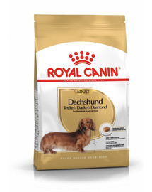 ROYAL CANIN Dachshundmaistas suaugusiems taksų šunims 7,5 kg + šlapias