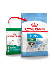 ROYAL CANIN Mini Puppy / Junior 16 kg (2 x 8 kg) kuivtoit 2-10 kuu vanustele kutsikatele, väikestele tõugudele