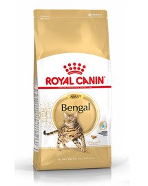 ROYAL CANIN Bengal Adult  kuivtoit täiskasvanud bengali kassidele 20 kg (2 x 10 kg)