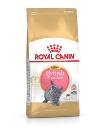 ROYAL CANIN  Briti lühikarvaline kassipoeg , 20 kg (2 x 10 kg) kuivtoit kuni 12 kuu vanustele kassipoegadele