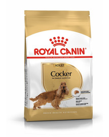 ROYAL CANIN Cocker adult 24 kg (2 x 12 kg) sausas maistas suaugusiems kokerspanieliams