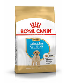 ROYAL CANIN Labrador Retriever Puppy Junior sausas maistas šuniukams iki 15 mėnesių amžiaus, Labradoro retriveris 24 kg (2 x 12 kg)