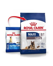 ROYAL CANIN Maxi aging 8+     2 x 15kg vanematele suurte tõugude koertele
