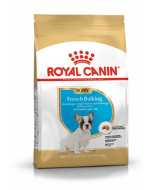 ROYAL CANIN French Bulldog Puppy Junior šlapias sausas maistas šuniukams iki 12 mėnesių amžiaus, prancūzų buldogų 20 kg (2 x 10 kg)
