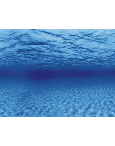 AQUA NOVA Kahepoolne akvaariumitaust XL 150x60cm juured / vesi