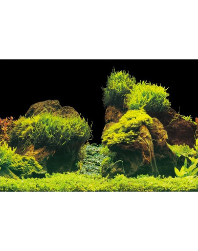 AQUA NOVA Kahepoolne akvaariumitaust XL 150x60cm kivid / taimed 