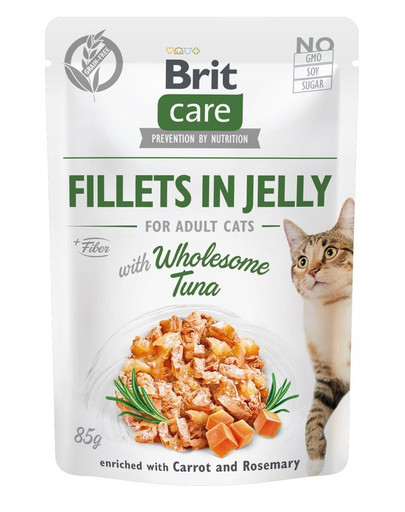 BRIT Care Wholesome Filee tuunikala tarretis 85 g kassidele