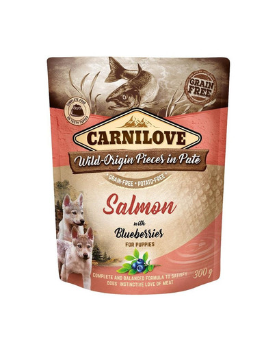 CARNILOVE Dog Paté Salmon with Blueberries Kutsikad 300g märgtoit Lõhe mustikatega