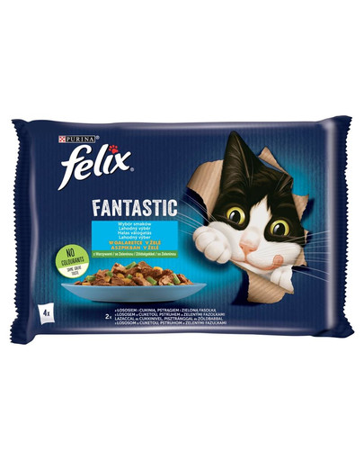 FELIX FANTASTIC tarretismaitseline kala (lõhe suvikõrvitsaga, forell ubadega) 4x85g märgtoit kassidele