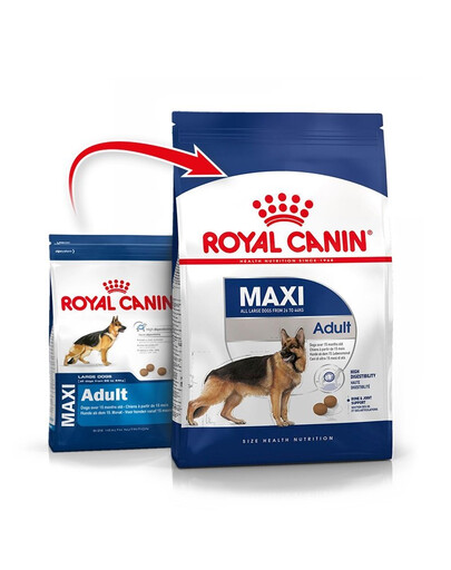 ROYAL CANIN Maxi Adult 10 kg kuivtoit täiskasvanud koertele, üle 15 kuu vanuselt, suurtele tõugudele + BAYER FORESTO Foresto puuki- ja kirbuhoidja üle 8 kg kaaluvatele koertele.