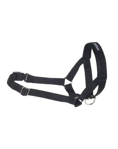 AMIPLAY Halter nylon n2 foxterrier  czarny