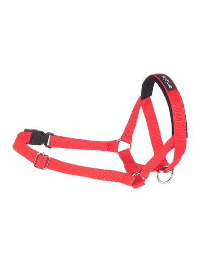 AMIPLAY Halter nylon n2 foxterrier  czerwony