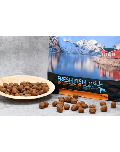 DR PETCARE Country&Nature Ocean White Fish Recipe 9 kg Koeratoit keskmistele ja suurtele tõugudele Valge merevee kala