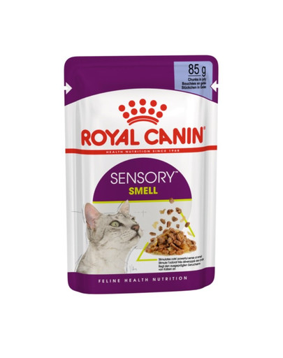 ROYAL CANIN Sensory smell kastega märg kassitoit 85 g