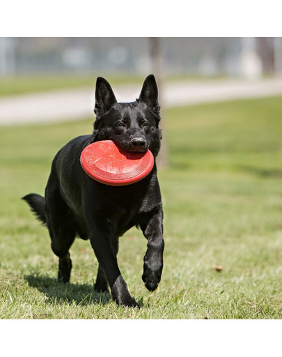 KONG Flyer Frisbee S