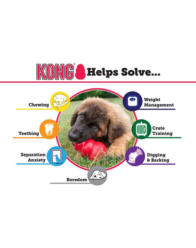 KONG žaislas Puppy Medium 85mm kp2