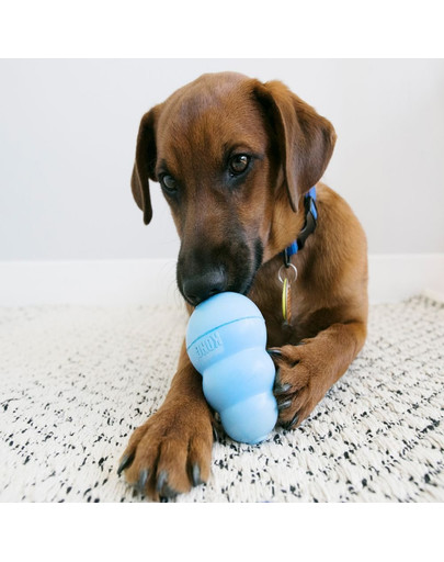 KONG žaislas Puppy Medium 85mm kp2