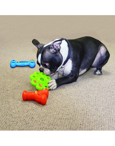 KONG Quest bone large mänguasi koera maiuspalade jaoks