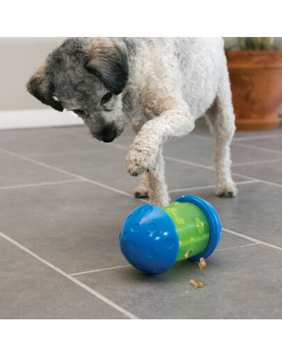 KONG Spin It S interaktiivne koera mänguasi