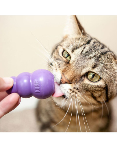 KONG Kitty mänguasi kasside maiuspaladele