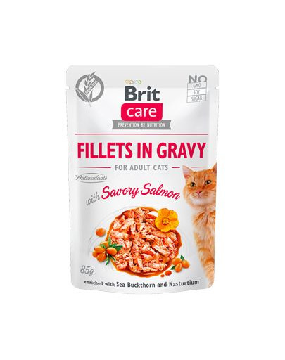 BRIT Care Fillets in gravy savory salmon Lõhefilee vürtsikas kastmes 24 x 85 g