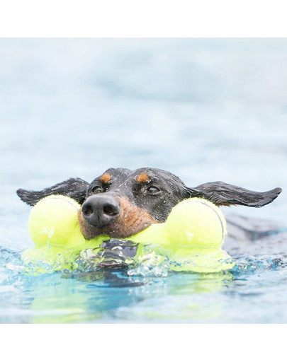 KONG Mänguasi airdog kont medium 15,5 cm