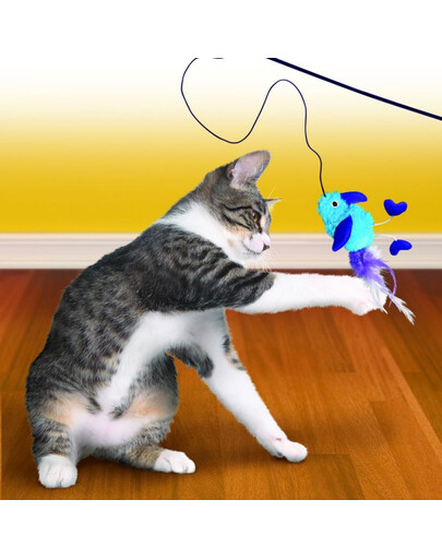 KONG Cat Teaser Feather Assorted õngeritv kassidele