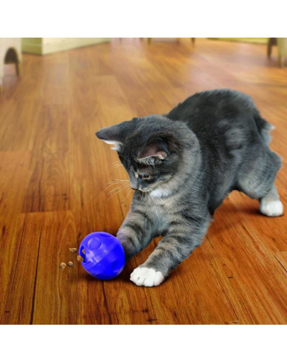 KONG Cat Treat Dispensing Ball kasside maiusepall