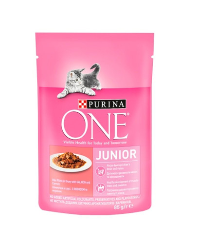 PURINA ONE Junior  Lõhe kassipoegadele 24 x 85 g