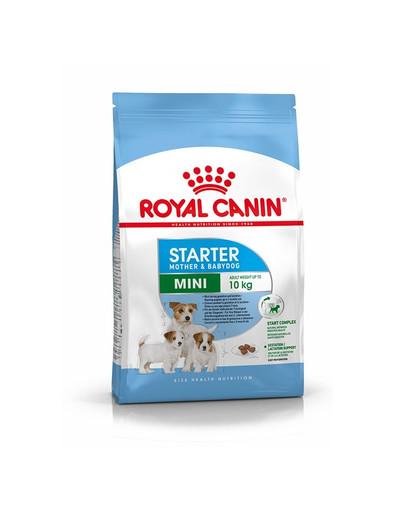 ROYAL CANIN Mini Starter Mother& Babydog 4 kg  kuivtoit tiinetele ja imetavatele emastele koertele ja kutsikatele vanuses 4 kuni 8 nädalat, väikestele tõugudele