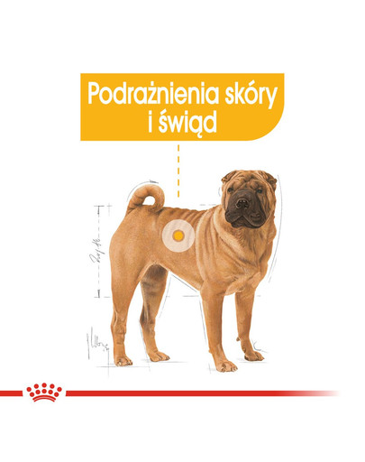 ROYAL CANIN Medium Dermacomfort 12 kg kuivtoit täiskasvanud keskmise suurusega tundliku nahaga koertele