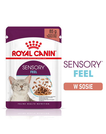ROYAL CANIN Sensory feel gravy kassitoit 12x85 g