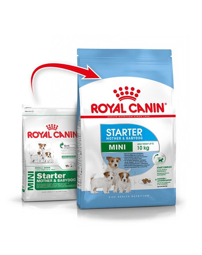 ROYAL CANIN Mini Starter Mother& Babydog 4 kg  kuivtoit tiinetele ja imetavatele emastele koertele ja kutsikatele vanuses 4 kuni 8 nädalat, väikestele tõugudele