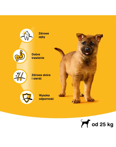 PEDIGREE Junior kuivtoit suurt tõugu koertele kanalihaga 15 kg
