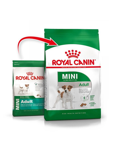 ROYAL CANIN  Mini täiskasvanutele 8kg + naturaalsed veiselihapulgad 3 tk.