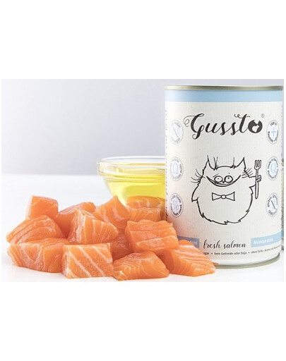 GUSSTO Cat Fresh Salmon märja kassitoit 12x400g