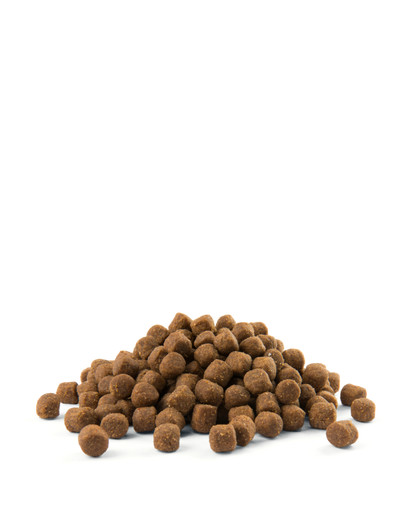 Versele-Laga Puppy Medium - toit keskmise suurusega kutsikatele kanaliha ja riisiga 12,5 kg