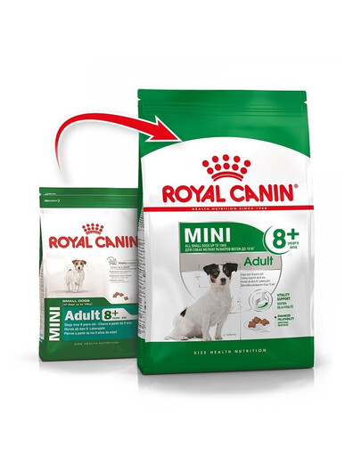 ROYAL CANIN Mini Adult 8+ 800 g kuivtoit vanematele koertele vanuses 8 kuni 12 aastat väikestele tõugudele x 15