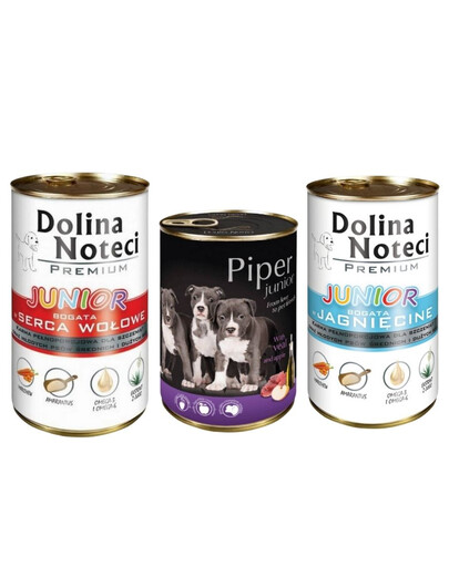 DOLINA NOTECI Junior Segatud maitsed 12x400g