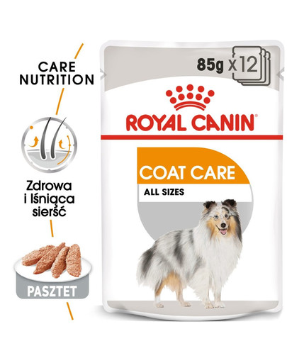 ROYAL CANIN Coat Care märgtoit - pasteet täiskasvanud tuhmi karvaga koertele 24 x 85 g