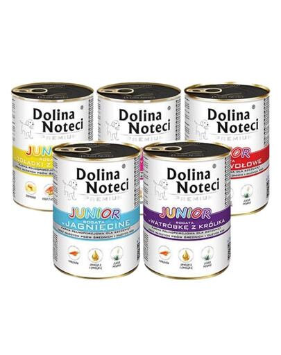 DOLINA NOTECI Premium Junior segatud maitsed 12x400g
