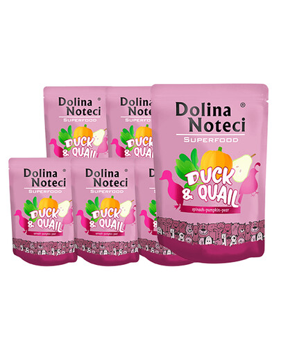 DOLINA NOTECI SuperFood part ja vutt 10x300 g