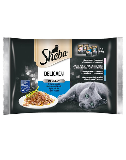 SHEBA Delicate in Jelly Fish maitsed tarretises täiskasvanud kassidele 13x(4x85g)
