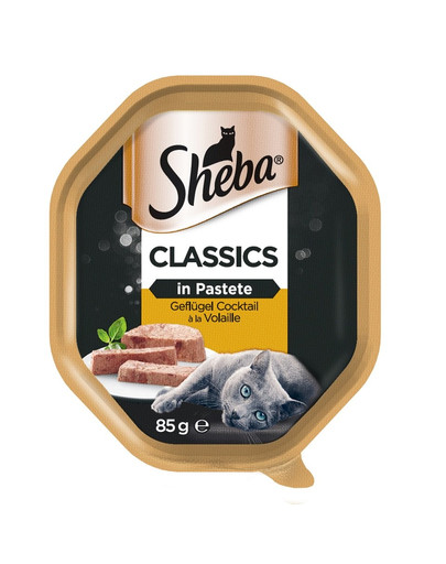 SHEBA Classics 85g Poultry Cocktail - märja kassitoa pasteet