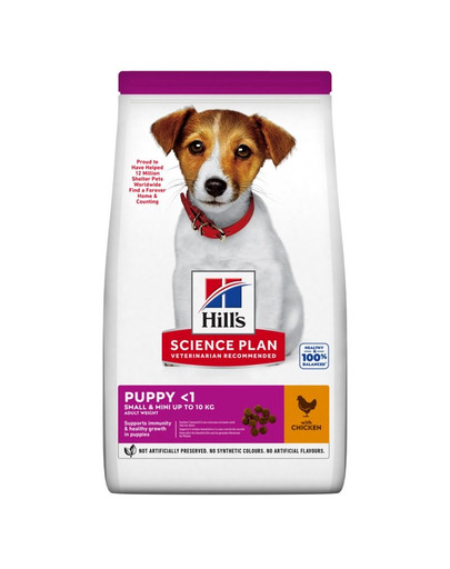HILL'S Science Plan  Koerakutsikas Small & Mini     kanaga 6 kg