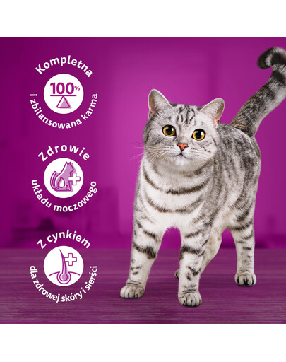 WHISKAS Pure Delight linnuliha friikartulid kana ja kalkuniga 4x85g