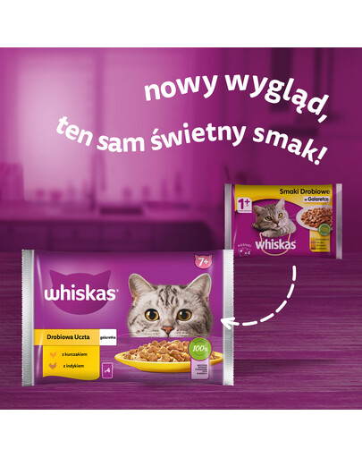WHISKAS Senior kotike 85g Poultry Feast märgtoit vanematele kassidele želatiinis: kana, kalkun, kalkuniga
