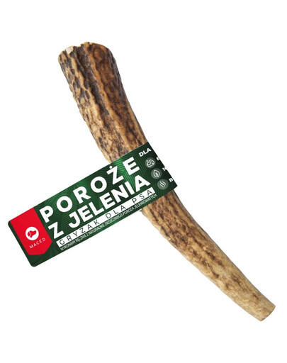 MACED POROŻE JELENIENIA ROZ. L